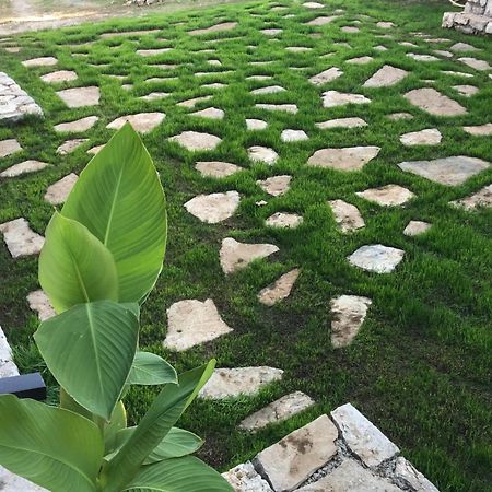 Green Silence - Vuk Podgorica Exterior photo